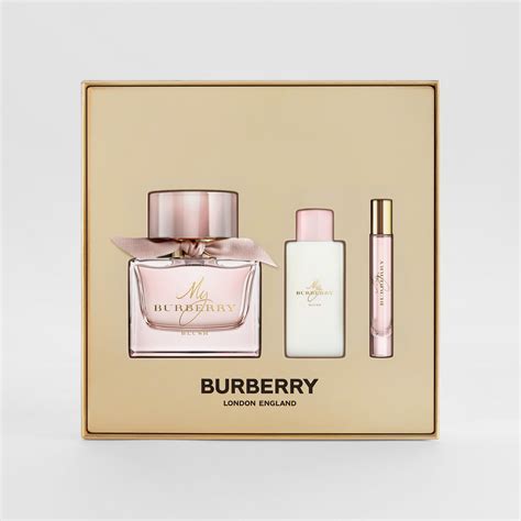 blush palette burberry|Burberry blush gift set.